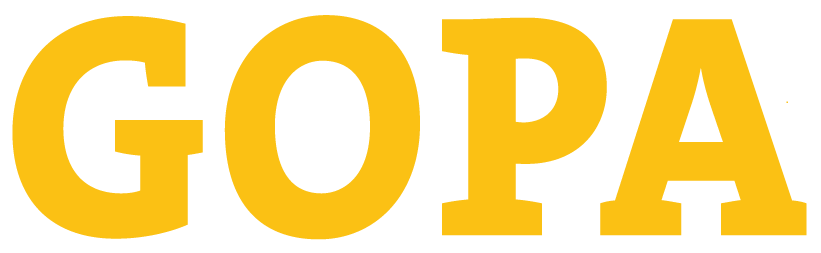 e-learning.gopa-infra.de